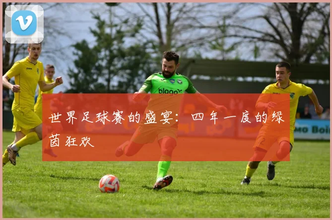 世界足球赛的盛宴：四年一度的绿茵狂欢